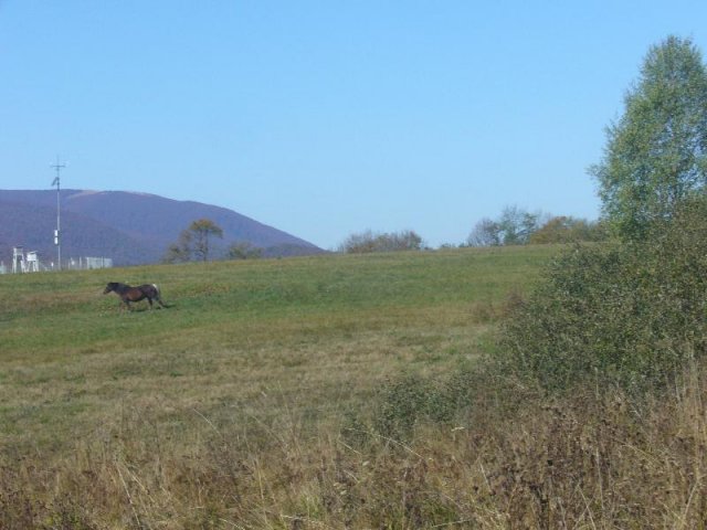 P1140495