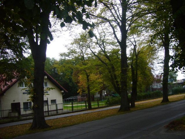 P1130253